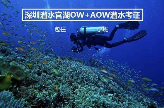 谁是老师翻译成英语怎么不用疑问句形式呢?